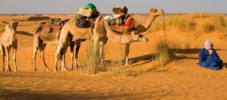 Adventure overland tours to Mauritania